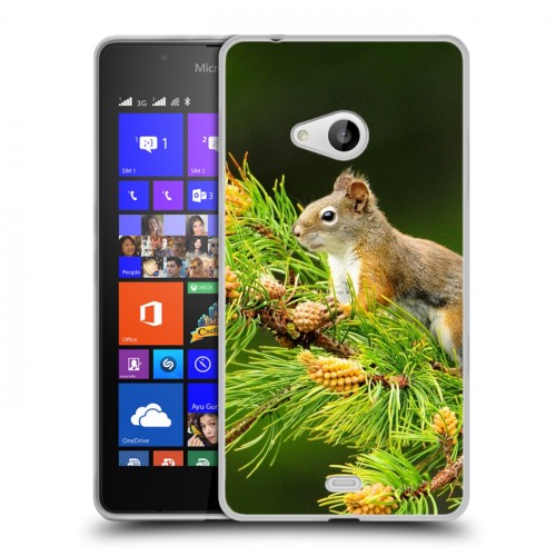 Дизайнерский пластиковый чехол для Microsoft Lumia 540 Грызуны