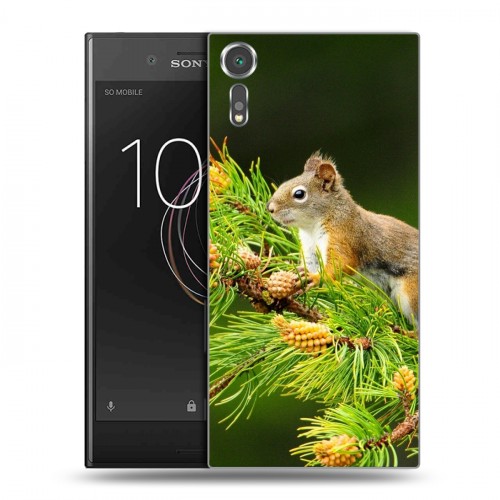 Дизайнерский пластиковый чехол для Sony Xperia XZs Грызуны