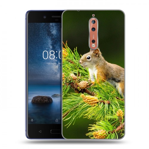 Дизайнерский пластиковый чехол для Nokia 8 Грызуны