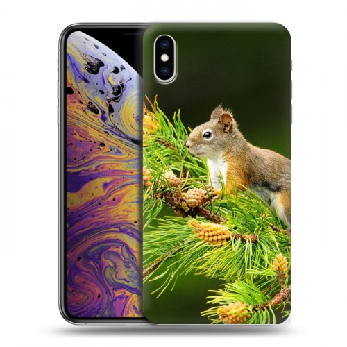 Дизайнерский силиконовый чехол для Iphone Xs Max Грызуны