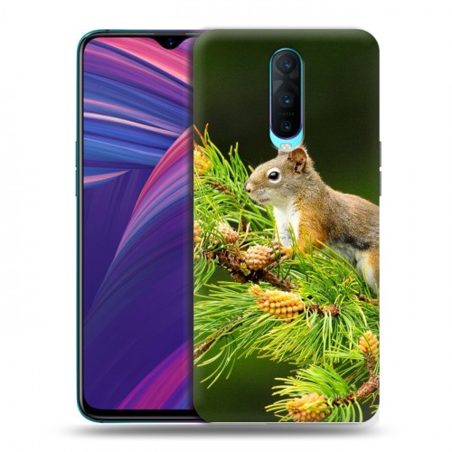 Дизайнерский пластиковый чехол для OPPO RX17 Pro Грызуны