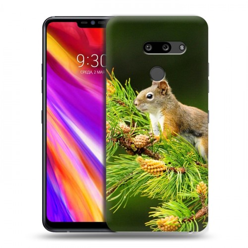 Дизайнерский пластиковый чехол для LG G8 ThinQ Грызуны