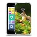 Дизайнерский пластиковый чехол для Nokia Lumia 530 Грызуны