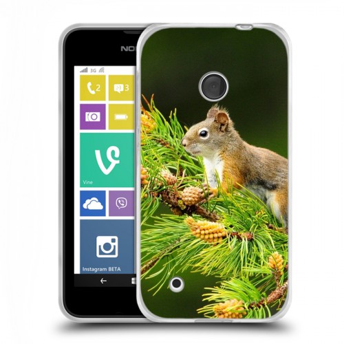 Дизайнерский пластиковый чехол для Nokia Lumia 530 Грызуны