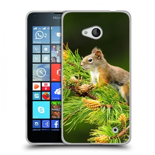 Дизайнерский пластиковый чехол для Microsoft Lumia 640 Грызуны