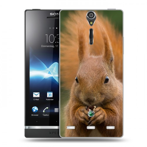 Дизайнерский пластиковый чехол для Sony Xperia S Грызуны