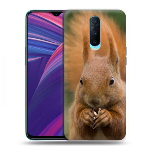 Дизайнерский пластиковый чехол для OPPO RX17 Pro Грызуны