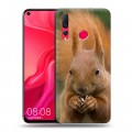 Дизайнерский пластиковый чехол для Huawei Nova 4 Грызуны