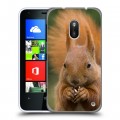 Дизайнерский пластиковый чехол для Nokia Lumia 620 Грызуны