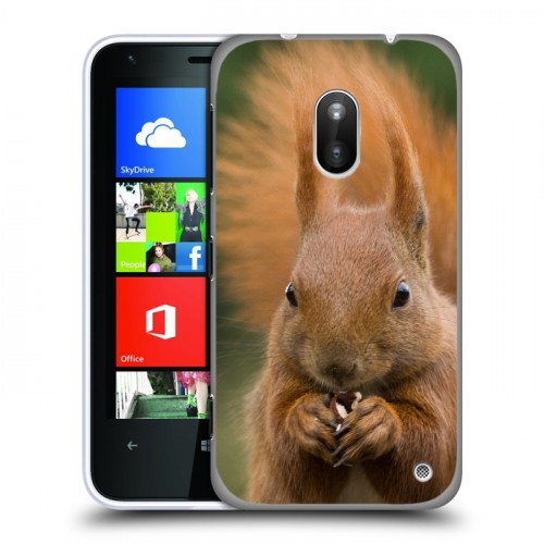 Дизайнерский пластиковый чехол для Nokia Lumia 620 Грызуны