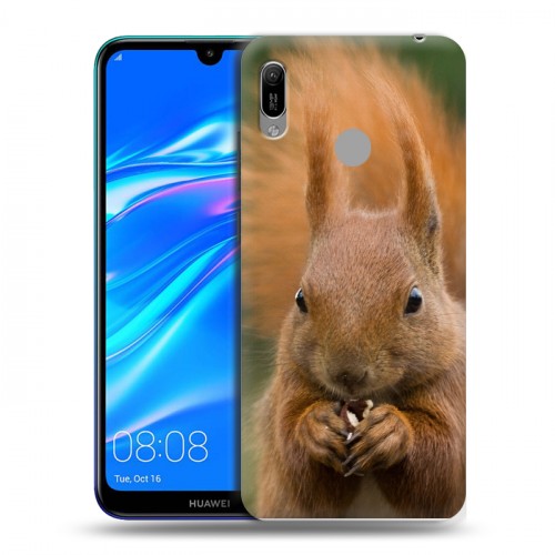 Дизайнерский пластиковый чехол для Huawei Y6 (2019) Грызуны