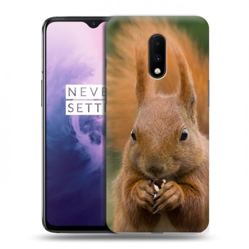 Дизайнерский пластиковый чехол для OnePlus 7 Грызуны