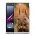 Дизайнерский пластиковый чехол для Sony Xperia Z Ultra  Грызуны