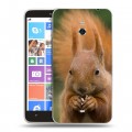 Дизайнерский пластиковый чехол для Nokia Lumia 1320 Грызуны