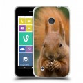 Дизайнерский пластиковый чехол для Nokia Lumia 530 Грызуны