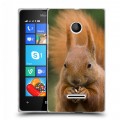 Дизайнерский пластиковый чехол для Microsoft Lumia 435 Грызуны