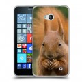 Дизайнерский пластиковый чехол для Microsoft Lumia 640 Грызуны