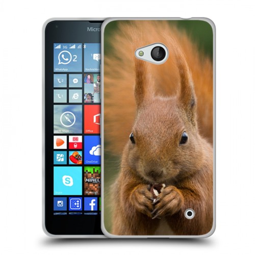 Дизайнерский пластиковый чехол для Microsoft Lumia 640 Грызуны