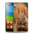 Дизайнерский пластиковый чехол для Lenovo A7000 Грызуны