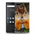 Дизайнерский пластиковый чехол для BlackBerry KEY2 Грызуны