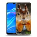 Дизайнерский пластиковый чехол для Huawei Y6 (2019) Грызуны