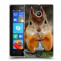 Дизайнерский пластиковый чехол для Microsoft Lumia 435 Грызуны