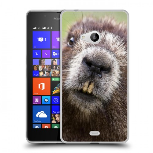 Дизайнерский пластиковый чехол для Microsoft Lumia 540 Грызуны