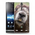 Дизайнерский пластиковый чехол для Sony Xperia S Грызуны