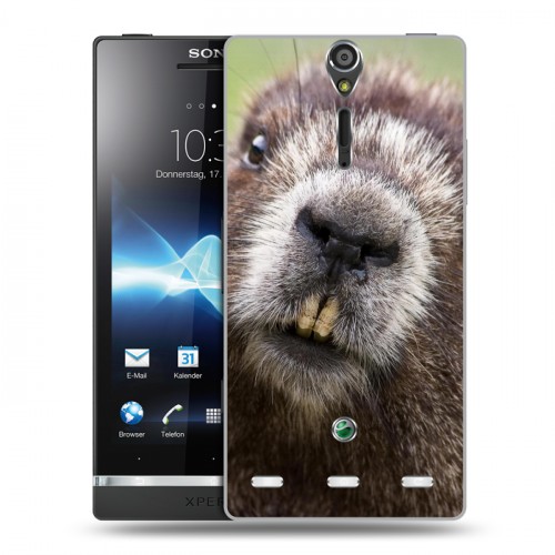 Дизайнерский пластиковый чехол для Sony Xperia S Грызуны