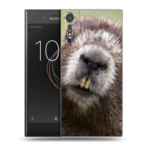 Дизайнерский пластиковый чехол для Sony Xperia XZs Грызуны