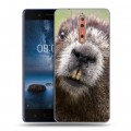 Дизайнерский пластиковый чехол для Nokia 8 Грызуны