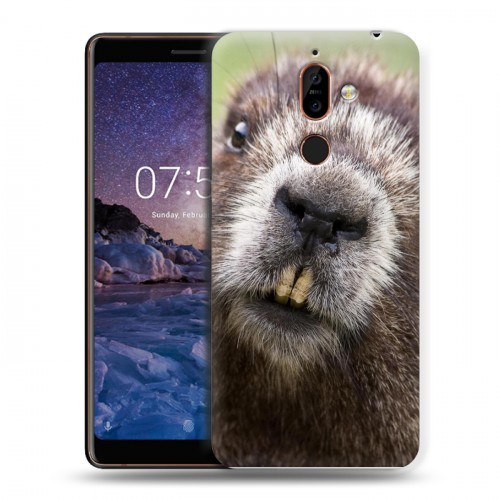 Дизайнерский пластиковый чехол для Nokia 7 Plus Грызуны