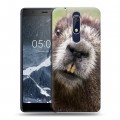 Дизайнерский пластиковый чехол для Nokia 5.1 Грызуны