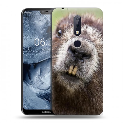 Дизайнерский пластиковый чехол для Nokia 6.1 Plus Грызуны