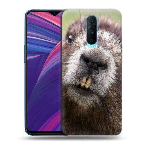 Дизайнерский пластиковый чехол для OPPO RX17 Pro Грызуны