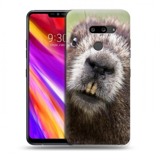 Дизайнерский пластиковый чехол для LG G8 ThinQ Грызуны