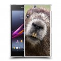 Дизайнерский пластиковый чехол для Sony Xperia Z Ultra  Грызуны