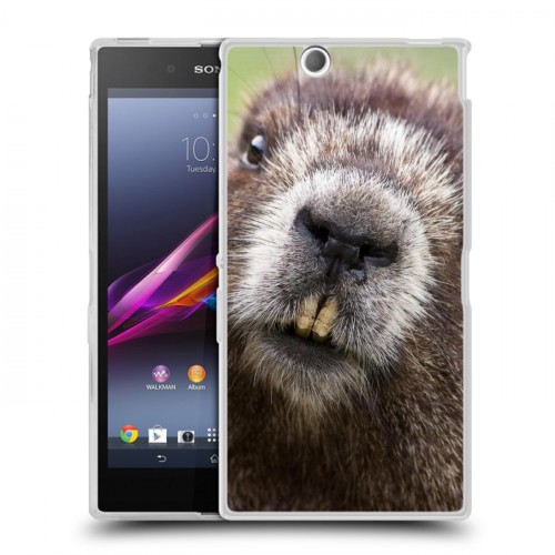 Дизайнерский пластиковый чехол для Sony Xperia Z Ultra  Грызуны