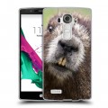 Дизайнерский пластиковый чехол для LG G4 Грызуны