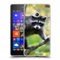 Дизайнерский пластиковый чехол для Microsoft Lumia 540 Грызуны