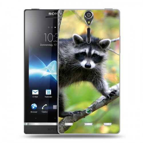 Дизайнерский пластиковый чехол для Sony Xperia S Грызуны