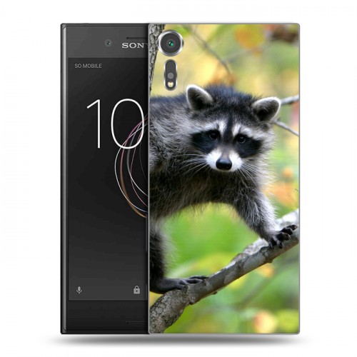 Дизайнерский пластиковый чехол для Sony Xperia XZs Грызуны