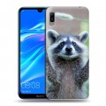 Дизайнерский пластиковый чехол для Huawei Y6 (2019) Грызуны