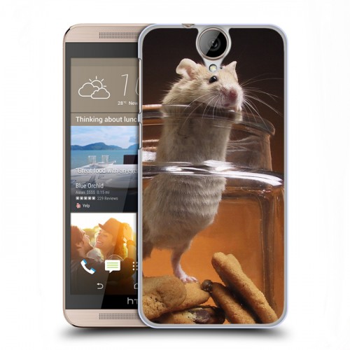Дизайнерский пластиковый чехол для HTC One E9+ Грызуны
