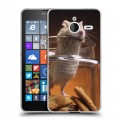 Дизайнерский пластиковый чехол для Microsoft Lumia 640 XL Грызуны
