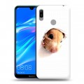 Дизайнерский пластиковый чехол для Huawei Y6 (2019) Грызуны