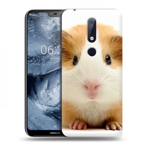 Дизайнерский пластиковый чехол для Nokia 6.1 Plus Грызуны