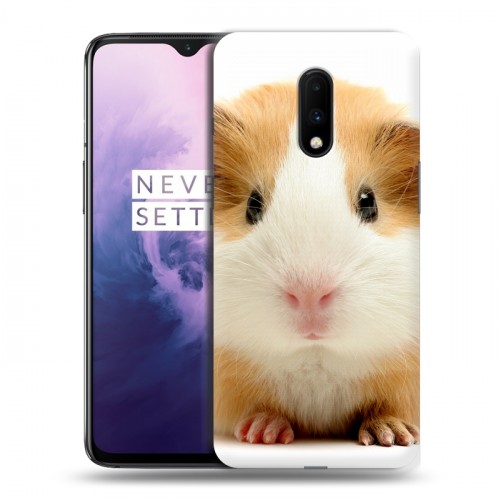 Дизайнерский пластиковый чехол для OnePlus 7 Грызуны