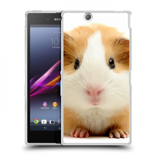 Дизайнерский пластиковый чехол для Sony Xperia Z Ultra  Грызуны