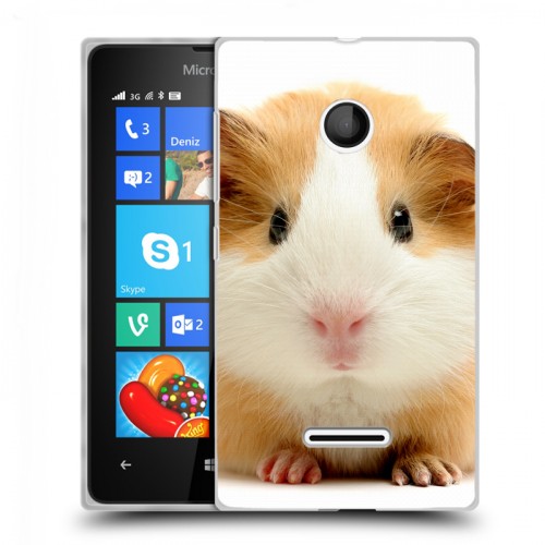 Дизайнерский пластиковый чехол для Microsoft Lumia 435 Грызуны